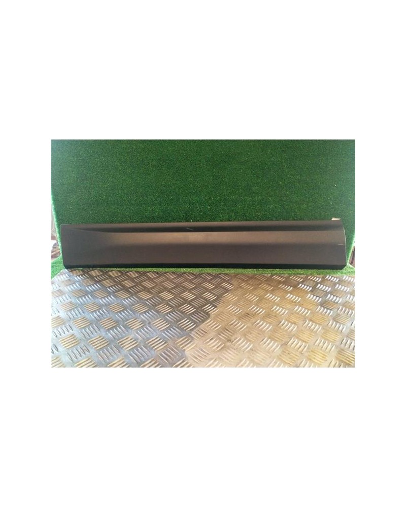 MOLDURA PUERTA DEL. DCHA.