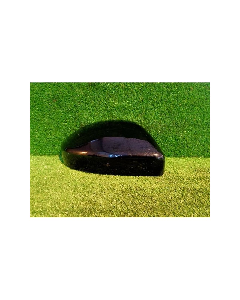 CARCASA RETROVISOR DCHO.
