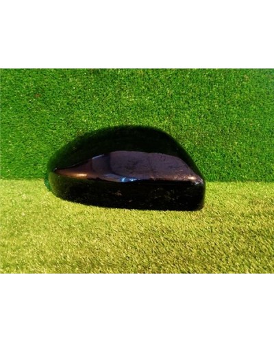 CARCASA RETROVISOR DCHO.