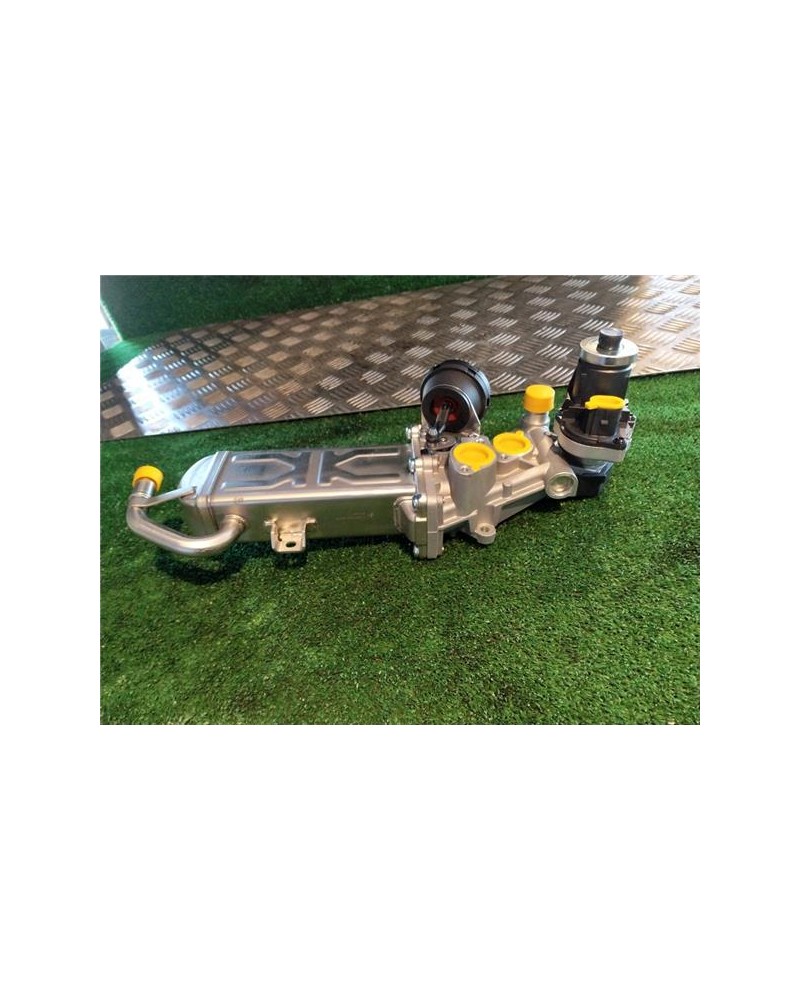 EGR