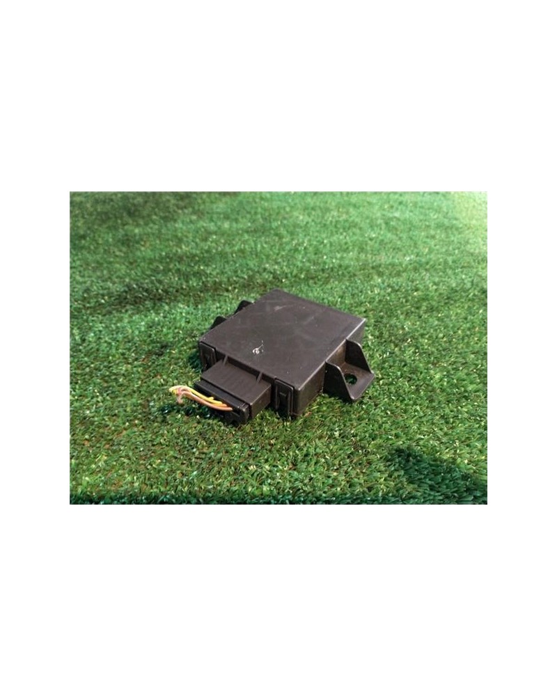 MODULO ELECTRONICO