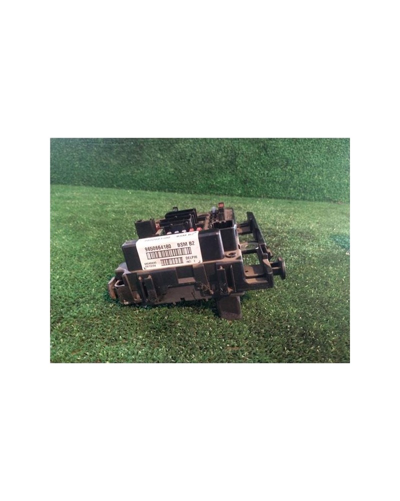 BSM
