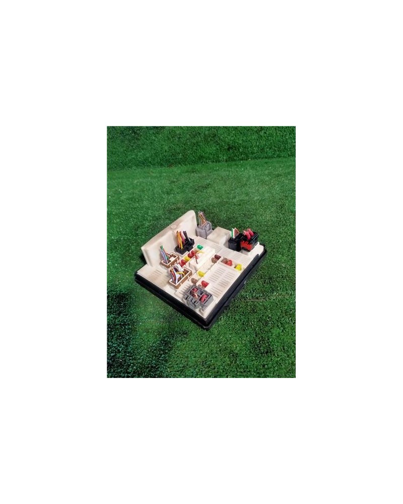 CAJA FUSIBLES/RELE