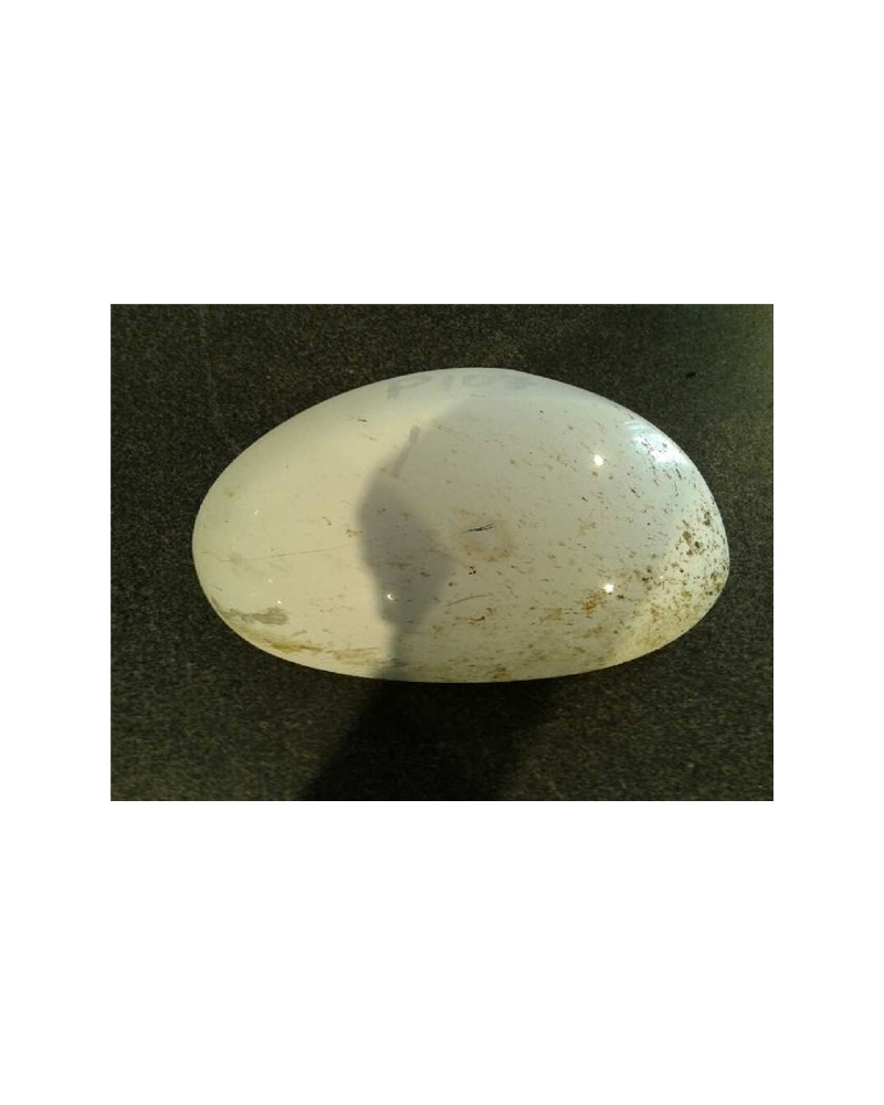 CARCASA RETROVISOR DCHO.